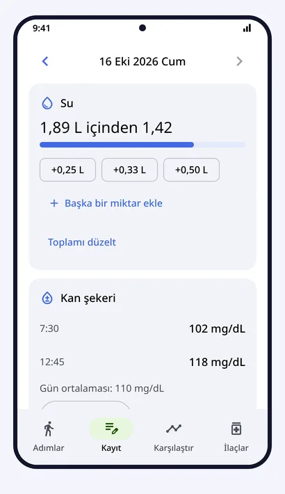Kayıt